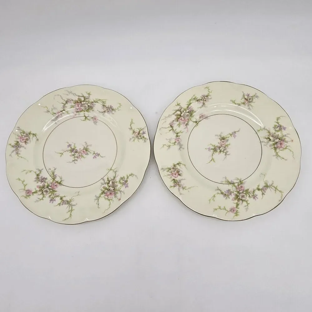 4 Theodore Haviland New York Rosalinde 7.5